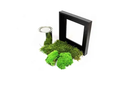 Obrázek produktu pro Gardners Mechový obraz "Vyrob si sám" 22x22 cm z kopečkového mechu, černá