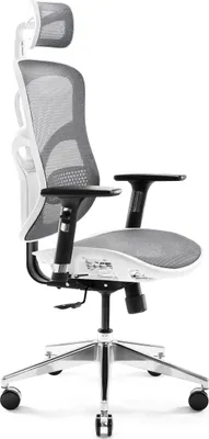 Obrázok produktu pre Diablo V-Basic Kancelárska Ergonomická Stolička Výkonná stolička Sieťovina nastaviteľné podrúčky výškovo nastaviteľné Bielo-Šedá