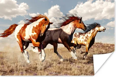 Produktbild von MuchoWow® Poster Pferde - Tiere - Gras - Fell 60x40 cm - Schlafzimmerdekoration