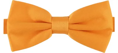 Image de Ladeheid Hommes Noeud papillon homme étroit M (12cm x 6cm)