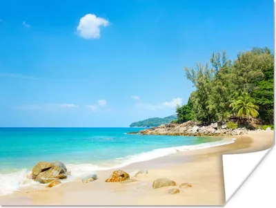 Produktbild von MuchoWow® Poster Strand - Meer - Pflanzen - Tropisch 120x90 cm - Wandbild
