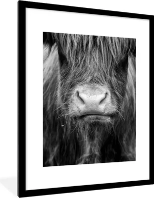 Produktbild von MuchoWow® Gerahmtes Poster Schottischer Highlander - Kuh - Schwarz - Weiß - Tiere 60x80 cm - Poster mit Schwarzem Bilderrahmen Wandposter Rahmen Foto Bilder - Wohnzimmer - Dekorationen - Prämie