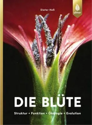 Obrázek produktu pro Die Blüte
