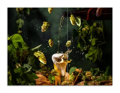 Produktbild von Wallario Herdabdeckplatte aus Glas, Größe 70 x 52 cm 2-teilig, Motiv Braukunst - Hopfenkaltschale