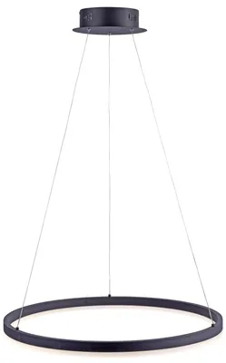 Produktbild von PAUL NEUHAUS LED-Pendelleuchte 2382-13 anthrazit, 38,5 W, 5250 lm, 3000 K