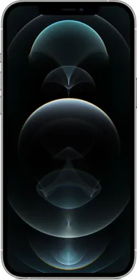Zdjęcie produktu dla Apple iPhone 12 Pro Max 128 GB srebrny