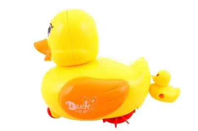 Image de Lamps Figure de canard aquatique remontable