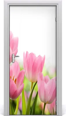 Produktbild von Tulup Türaufkleber 95x205 cm Dekorative Aufkleber Selbstklebend Wasserdichte Tapete Abnehmbar Schlafzimmer Wohnzimmer Wohnkultur - rosa Tulpen