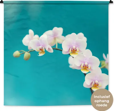 Produktbild von MuchoWow® Wandteppich Wandbehang Orchidee - Blumen - Pflanze - Weiß - Lila 150x150 cm Tapisserie Dekoration Wandtuch - Wohnaccessoires - Modernes