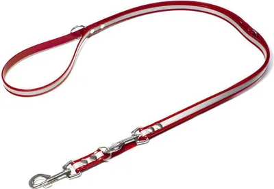 Produktbild von Mystique® Biothane Reflex verstellbare Leine 19mm 2,5m gold rot