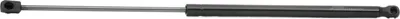 Produktbild von RIDEX 219G0317 Gasfeder Heckklappendämpfer für HYUNDAI i30 (FD) 569mm