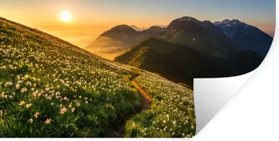 Produktbild von MuchoWow® Wandtattoo Wandsticker Wandaufkleber Blumen - Sonne - Berge 160x80 cm Selbstklebend und Repositionierbar - Sticker - Dekorfolie