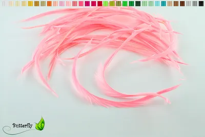 Produktbild von 3g Gänse Biots 10-18cm, Farbauswahl:rosa 148