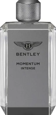 Image de Bentley - Momentum Intense for Men EDP 100ml