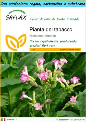 Immagine prodotto di SAFLAX Set regalo - Pianta del tabacco - 250 semi - Nicotiana