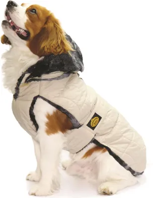 Produktbild von Fashion Dog Steppmantel für Hunde - Beige - 55 cm