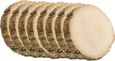 Holzscheibe Baumscheiben-Set Deko Hochzeit 8 Stück 17 cm Tisch-Deko DIY Basteln Geburtstag Advent Jahreszeiten Ostern Holzscheibe Holzstamm Dekoration