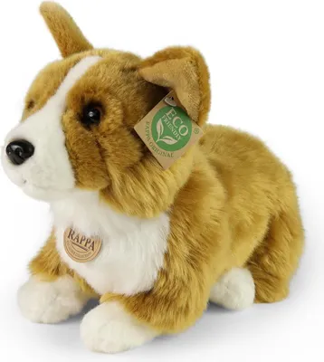 Produktbild von Plüsch-Corgi, 32 cm, umweltfreundlich