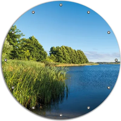 Produktbild von Wallario rundes Outdoor-Poster für Garten oder Balkon, Motiv Malerischer See mit Schilf unter blauem Himmel, 90 cm Durchmesser