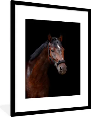 Produktbild von MuchoWow® Gerahmtes Poster Pferd - Tiere - Braun 60x80 cm - Poster mit Schwarzem Bilderrahmen Wandposter Rahmen Foto Bilder - Wohnzimmer - Dekorationen - Prämie