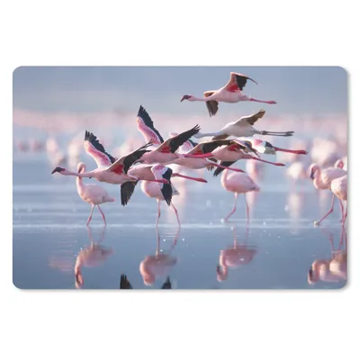 Produktbild von MuchoWow® Mauspad Mousepad Flamingo - Vogel - Wasser - Rosa 27x18 cm - Mousepads - Maus Mat - Pad - Mausunterlage - Büroartikel - Desk Matten