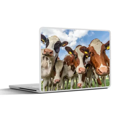 Produktbild von MuchoWow® Laptop Aufkleber Sticker Cover Kühe - Tiere - Wiese - Natur 30x22 cm - Laptop-Sticker