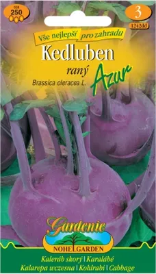 Image de Chou-rave précoce AZUR, bleu