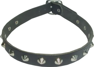 Produktbild von Spitznieten - Halsband