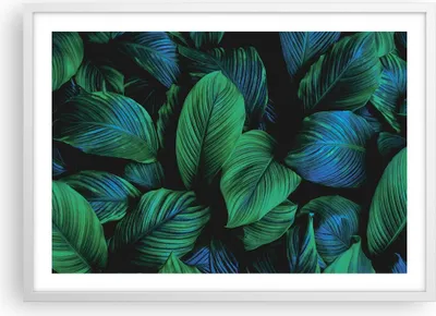 Produktbild von Gerahmtes Poster - Weißer Rahmen - Blätter Pflanzen Exotik - 70x50 cm - Wand Bild - Wanddeko - Wandbilder - Kunstposter - Wandposter - Bilderrahmen - Bilder - Kunstdruck - P2WAA70x50-5066