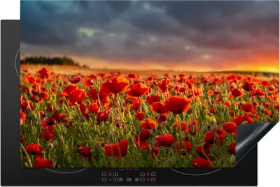 Produktbild von KitchenYeah© Herdabdeckplatte Sonnenuntergang über einem Feld von Mohnblumen , 81x52cm, Küche Deko, Glaskeramikkochfeld Herdabdeckung, Abdeckplatte fùr Kochfeld