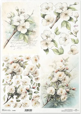 Immagine prodotto di Carta di riso per decoupage Carta per decoupage A3 ITD R1429L Fiori di melo