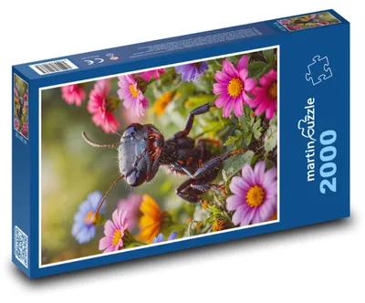 Obrázok produktu pre martinpuzzle - Puzzle 2000 - Mravenec