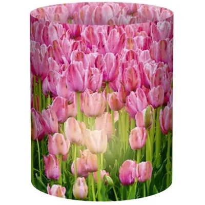 Image de Mini-bougies de table « Ambiance », lot de 56 (5 pièces)
