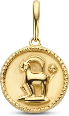 Produktbild von New Bling 9NBG-0278 Gouden Sterrenbeeld - Steenbok - 10 mm Doorsnee - 14 Karaat - Goud