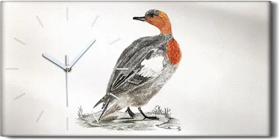 Produktbild von Leinwand Wanduhr Wandkunst Uhr Geräuschlos 60x30 Zeichnung Tier Vogel Ente Kunst - weiße Hände
