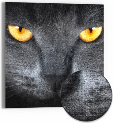 Produktbild von DEQORI Hybrid Leinwand Bild 50x50 cm 'Magische Katzenaugen' Wandbild Glas flach modern