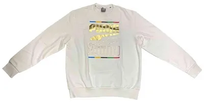 Obrázek produktu pro Mikina Puma 58460802 pro Pánské