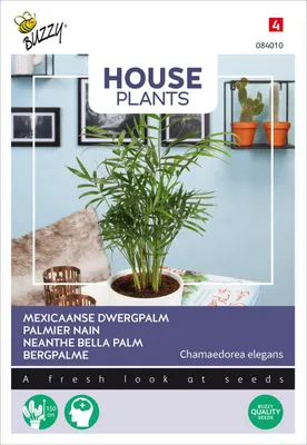 Produktbild von Chamaedorea Bergpalme | Palmensamen von Buzzy Seeds