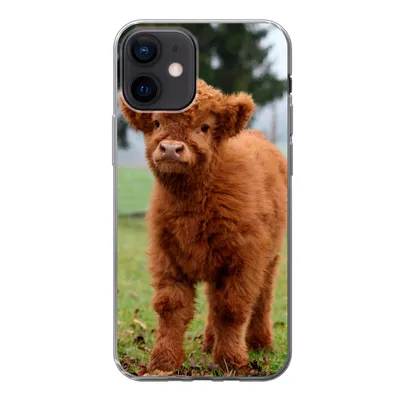 Produktbild von MuchoWow® Handyhülle Schutzhülle Hülle für iPhone 12 Scottish Highlander - Kalb - Gras Silikon Softcase Handy Hülle - Schutzhülle