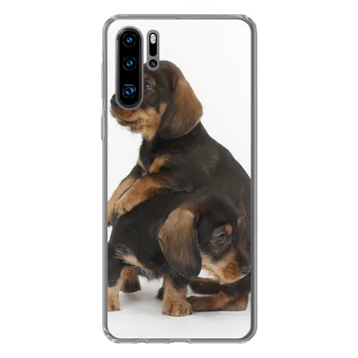 Produktbild von MuchoWow® Handyhülle Schutzhülle Hülle für Huawei P30 Pro Studiofoto von zwei süßen Dackeln Silikon Softcase Handy Hülle - Schutzdeckel