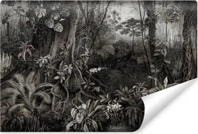 Produktbild von Muralo Vlies Fototapete DSCHUNGEL tropische Pflanzen Natur Vintage Stil Br. 135cm x Hö. 90cm