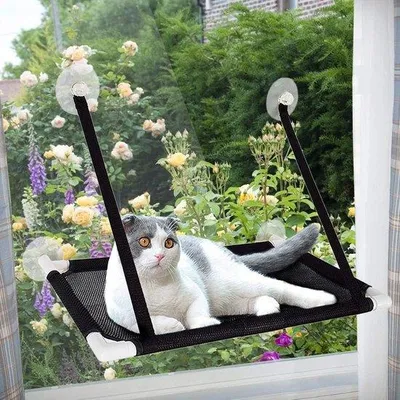 Produktbild von Katzenhängematte für Fenster – Sonnenliegen für Katzen – Entspannung mit Aussicht – 4 große Saugnäpfe – Belastbarkeit bis 10 kg – Schwarz