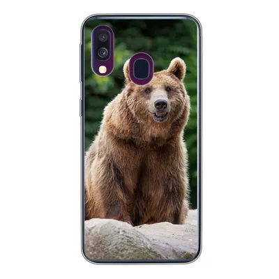 Produktbild von MuchoWow® Handyhülle Schutzhülle Hülle für Samsung Galaxy A40 Wald - Bär - Steine Silikon Softcase Handy Hülle - Handy-Tasche