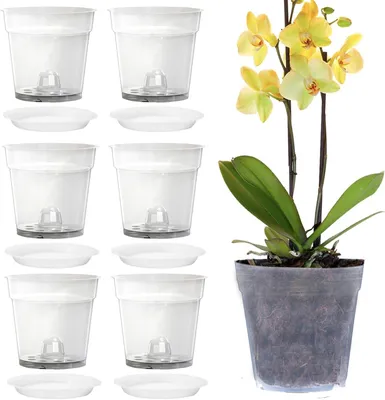 Obrázok produktu pre Omgoods – Kvetináče na orchideje, 11 cm – 6 kusov – Kvetináče s otvormi – Misky – Vhodné na vnútorné aj vonkajšie použitie – Priehľadné – Kvetináč
