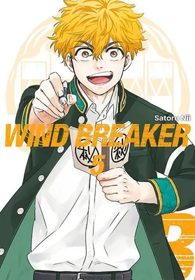 Obrázek produktu pro Wind Breaker. Tom 5