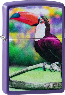 Immagine prodotto di Accendini Zippo 237-084669 Uomo Viola Metallo