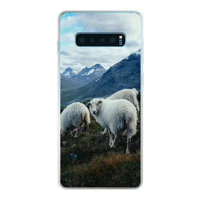 Produktbild von MuchoWow® Handyhülle Schutzhülle Hülle für Samsung Galaxy S10 Plus Schafe - Natur - Berge Silikon Softcase Handy Hülle - Schutzhülle