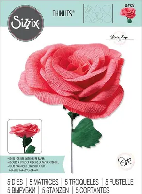 Produktbild von SIZZIX Stanzform Präge Stanzschablone Cutting Die, Classic Rose by Olivia Rose Rose