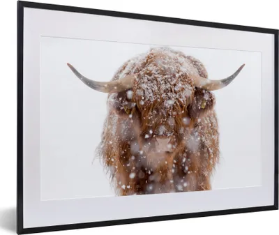 Produktbild von MuchoWow® Gerahmtes Poster Schottischer Highlander - Hörner - Schnee 60x40 cm - Poster mit Schwarzem Bilderrahmen Wandposter Rahmen Foto Bilder - Schlafzimmer - Plakat in Rahmen - Drucken
