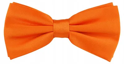 Produktbild von Tissino Fliege Herren Orange Polyester Klassisch